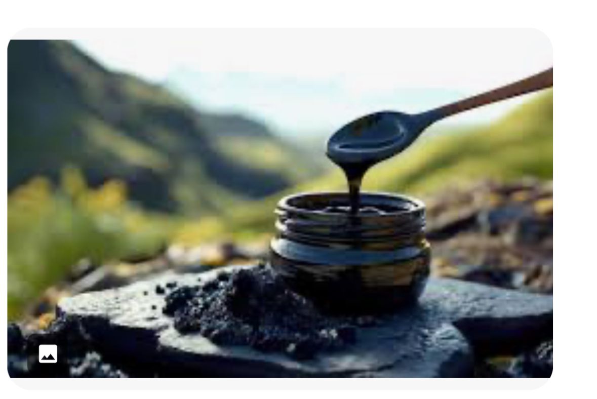 Slimza Himalayan Shilajit Resin